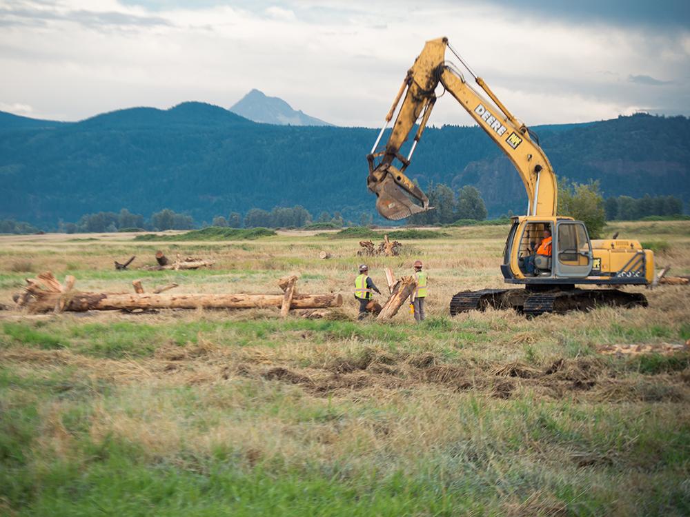 Construction at Steigerwald