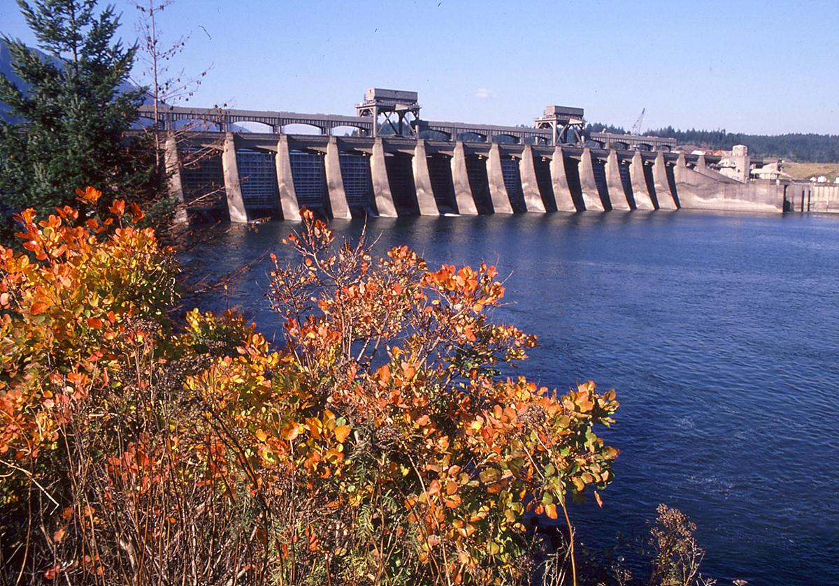 Bonneville Dam