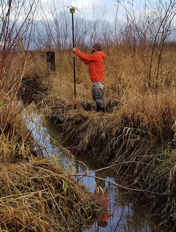 Monitoring a restoration site