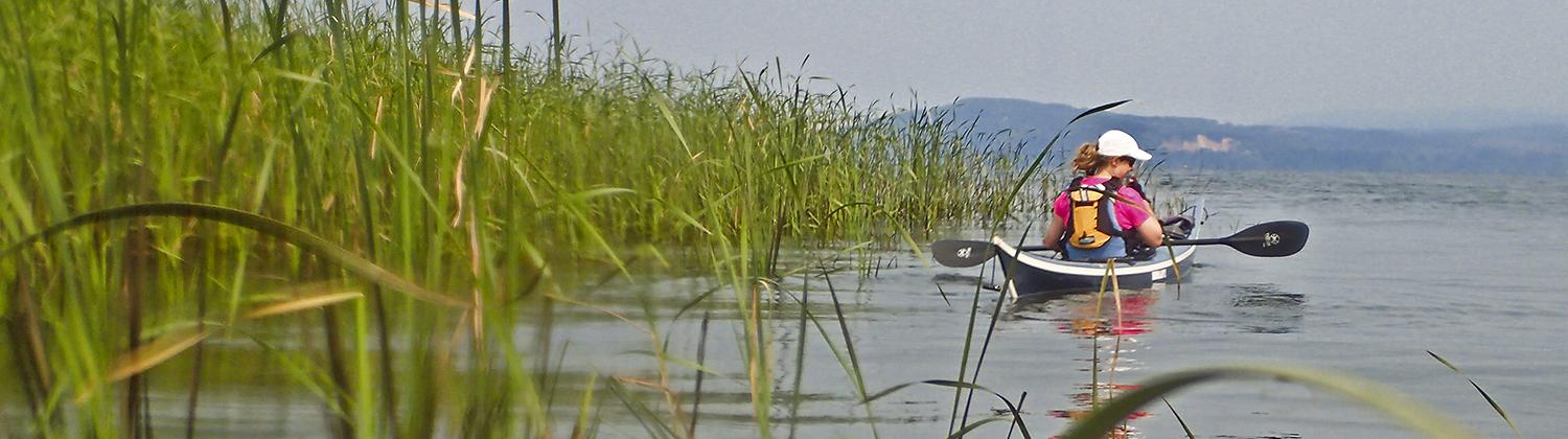 kayaker by a patch of tall grasses in Cathlamet Bay