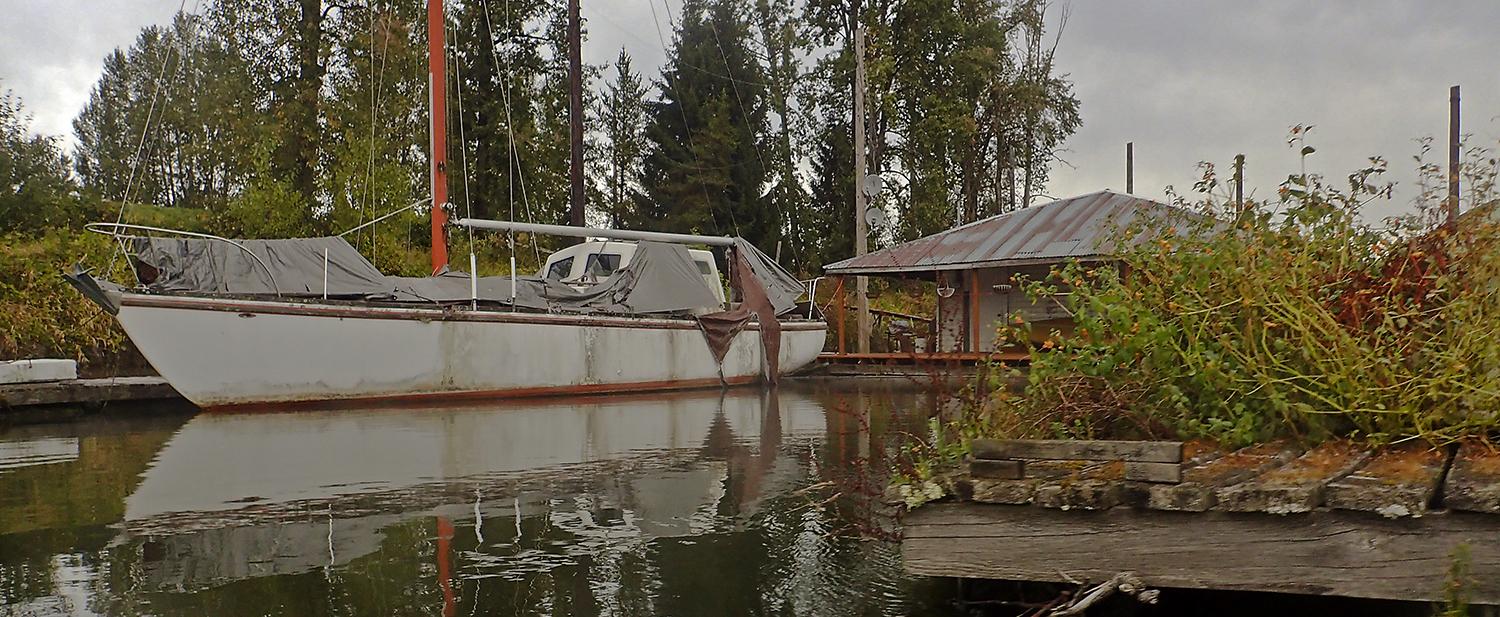 old sailboat floats next to a dock overgrown with honeysuckle