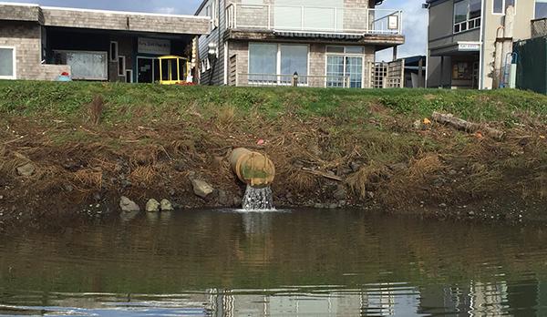 water flows from a pipe directly into the bay