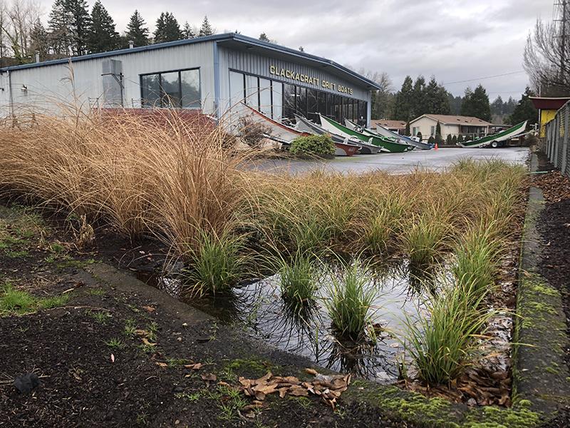 rain pools in the stormwater swale, in the background are drift boats set up by the shop