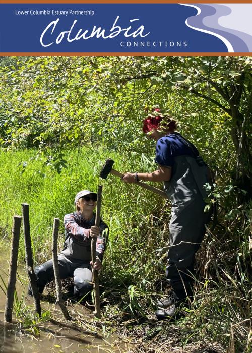 one person holds a thick branch while another uses a mallet to pound it into the ground to make a beaver dam analog